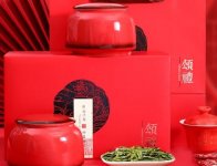 杭颂茶叶2023新茶上市明前绿茶特级龙井钱塘颂礼礼盒250g