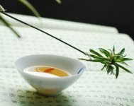 茶道入门基本知识(茶道新手须知)