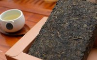安化黑茶茯砖茶怎么泡好喝