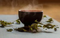 茶文化科普文章：《茶》